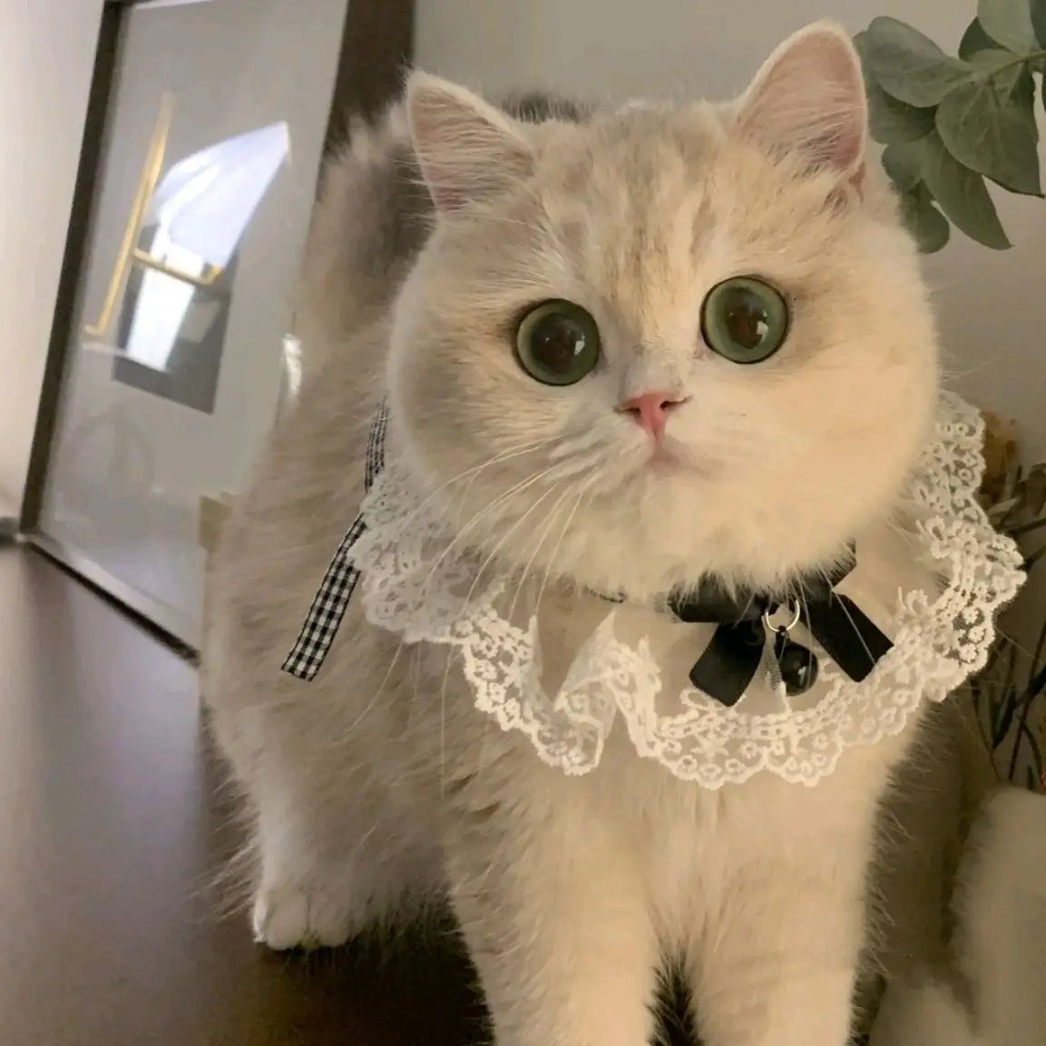 Pearl Dog Collar Jewelled Silk Wedding Cat Puppy Ribbon Scarf Pendant Pet Bows Necklace Satin New Kitten Accessories Bowtie Gift