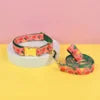 MIDEPET Valentine's Day New Year Gift Factory Wholesale Luxury Brand Hands Free Dog Collar and Leash for Small Medium Large Dogs