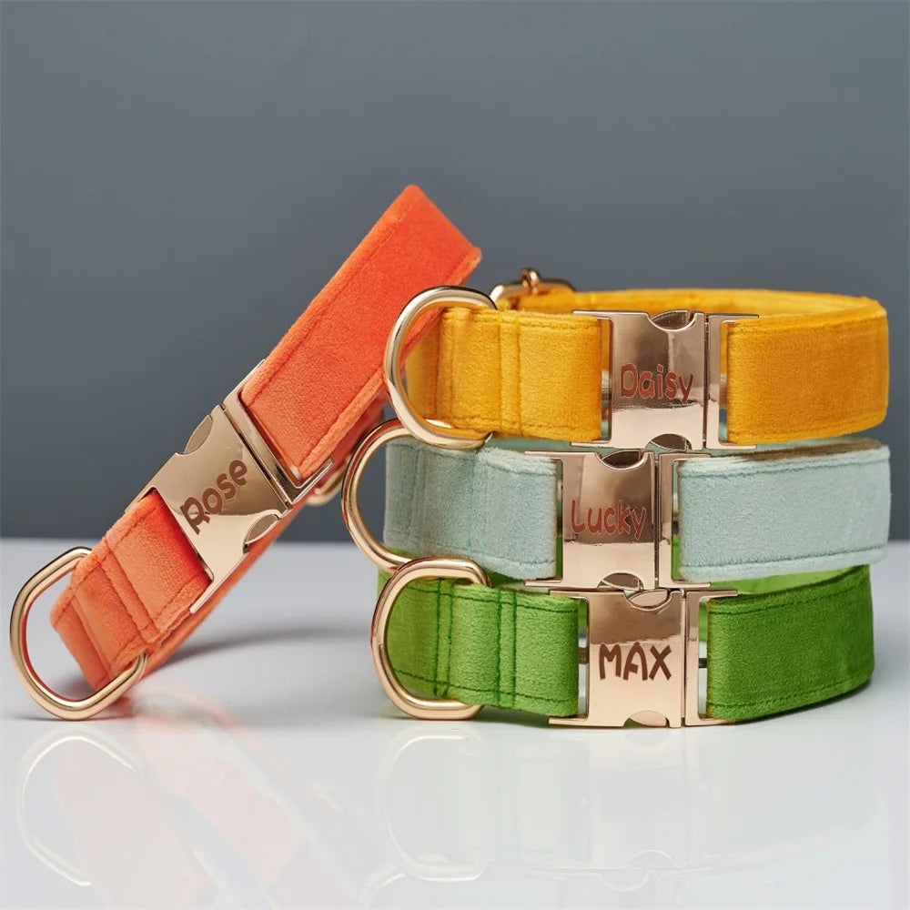 Wholesale Luxury Velvet Dog Collar Leash Set Solid Color with Cartoon Style Heavy Duty Metal Buckle Adjustable All Seasons