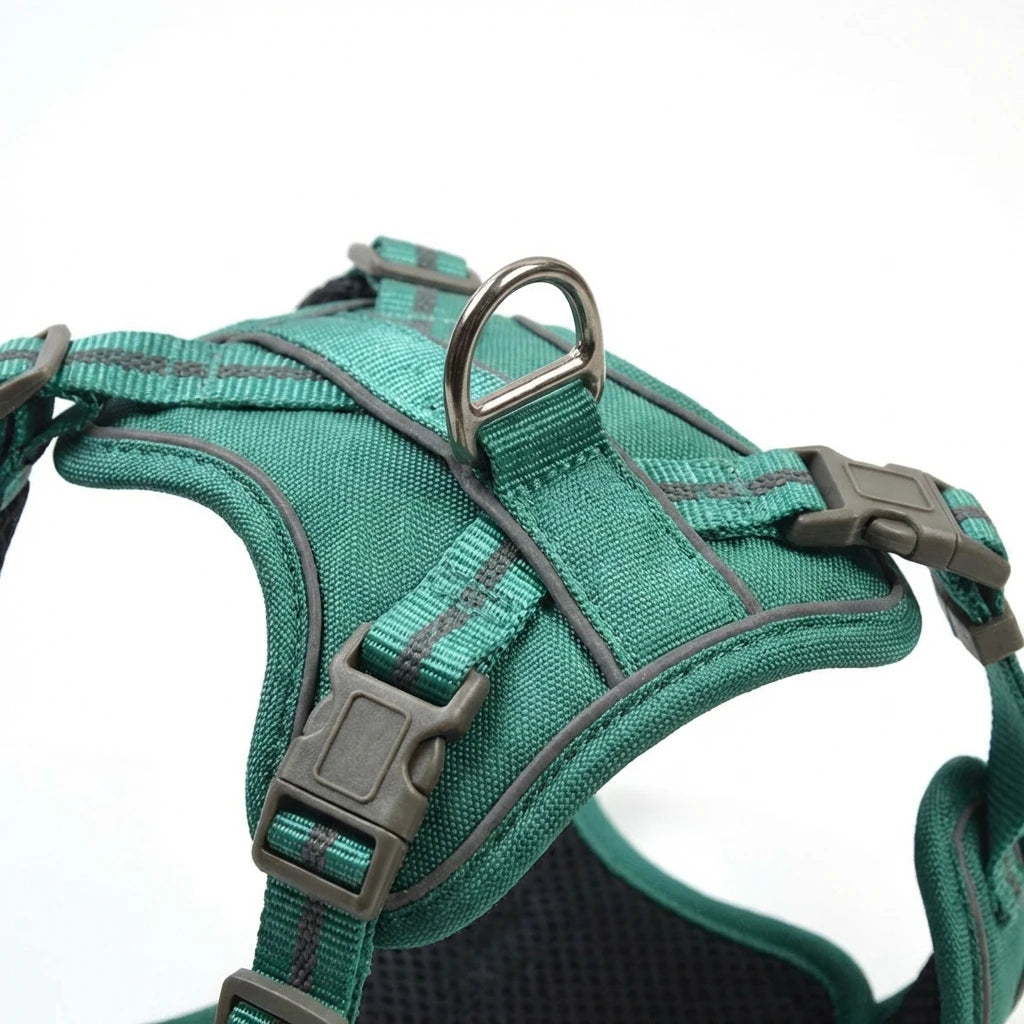 Breathable Mesh Dog Harness Kit with Floral Print, Adjustable Vest for Walking Training - Reflective Strips