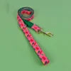 MIDEPET Luxury Valentine's Day & New Year's Gift High Quality Quick Release Dog Collar with Gold Hardware and Ribbons
