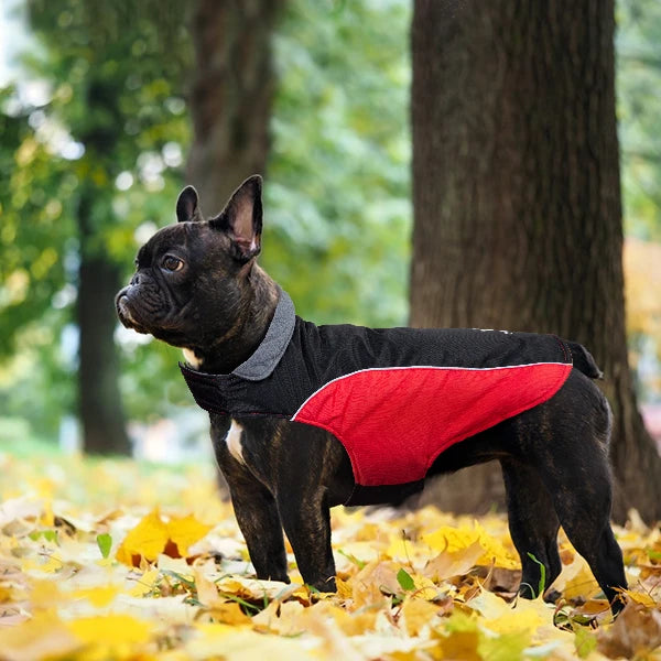 Red Black Duplex Lightweight Comfortable Windproof Dog Jacket Flexible Adjustable Size Waterproof Warm Dog Raincoat