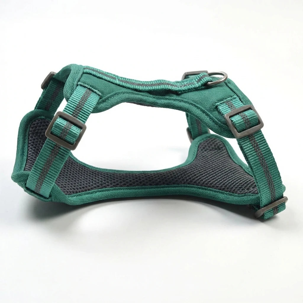Breathable Mesh Dog Harness Kit with Floral Print, Adjustable Vest for Walking Training - Reflective Strips