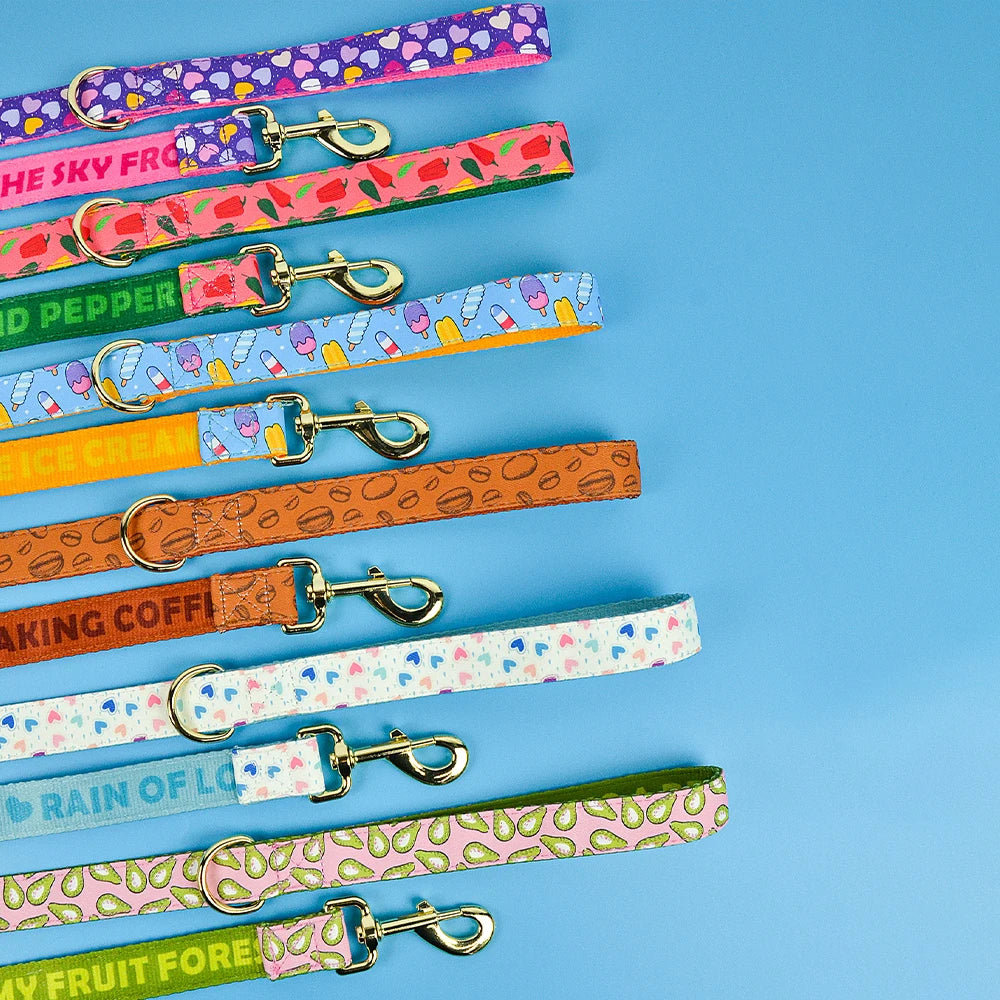 MIDEPET Luxury Dog Leash Padded Ribbons Floral Pattern High Quality Personalized Design New Year Valentine's Day Fashionable