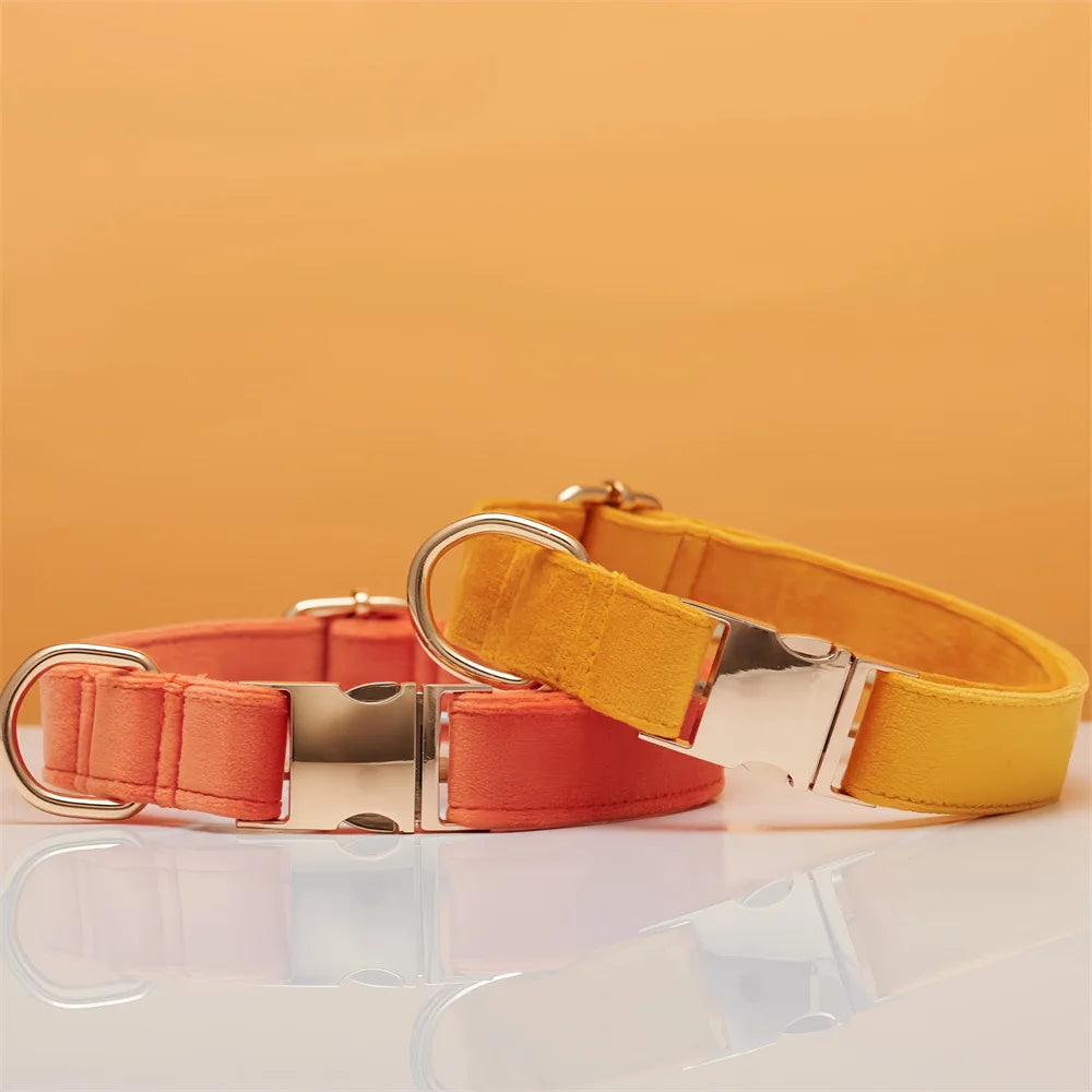 Wholesale Luxury Velvet Dog Collar Leash Set Solid Color with Cartoon Style Heavy Duty Metal Buckle Adjustable All Seasons