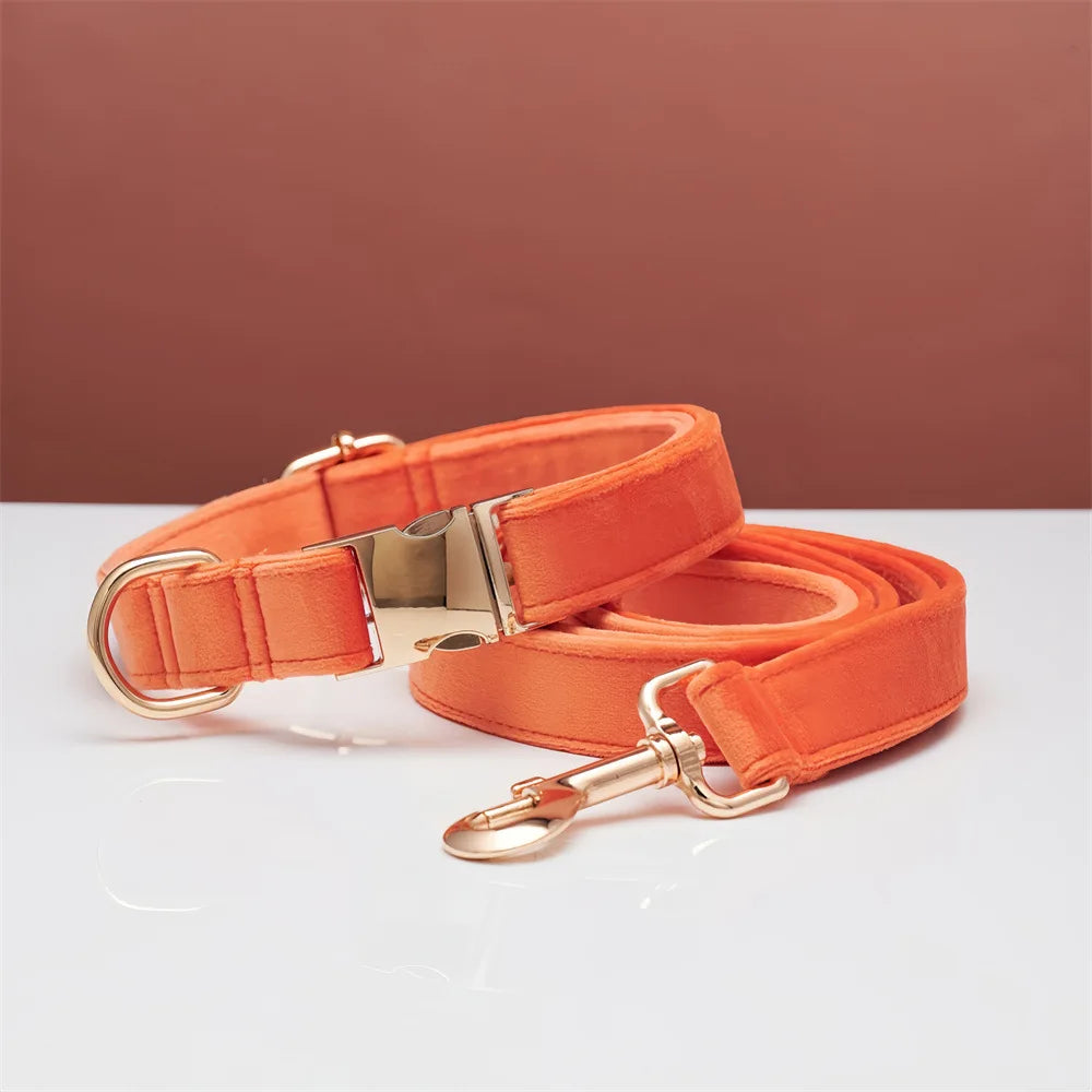 Wholesale Luxury Velvet Dog Collar Leash Set Solid Color with Cartoon Style Heavy Duty Metal Buckle Adjustable All Seasons