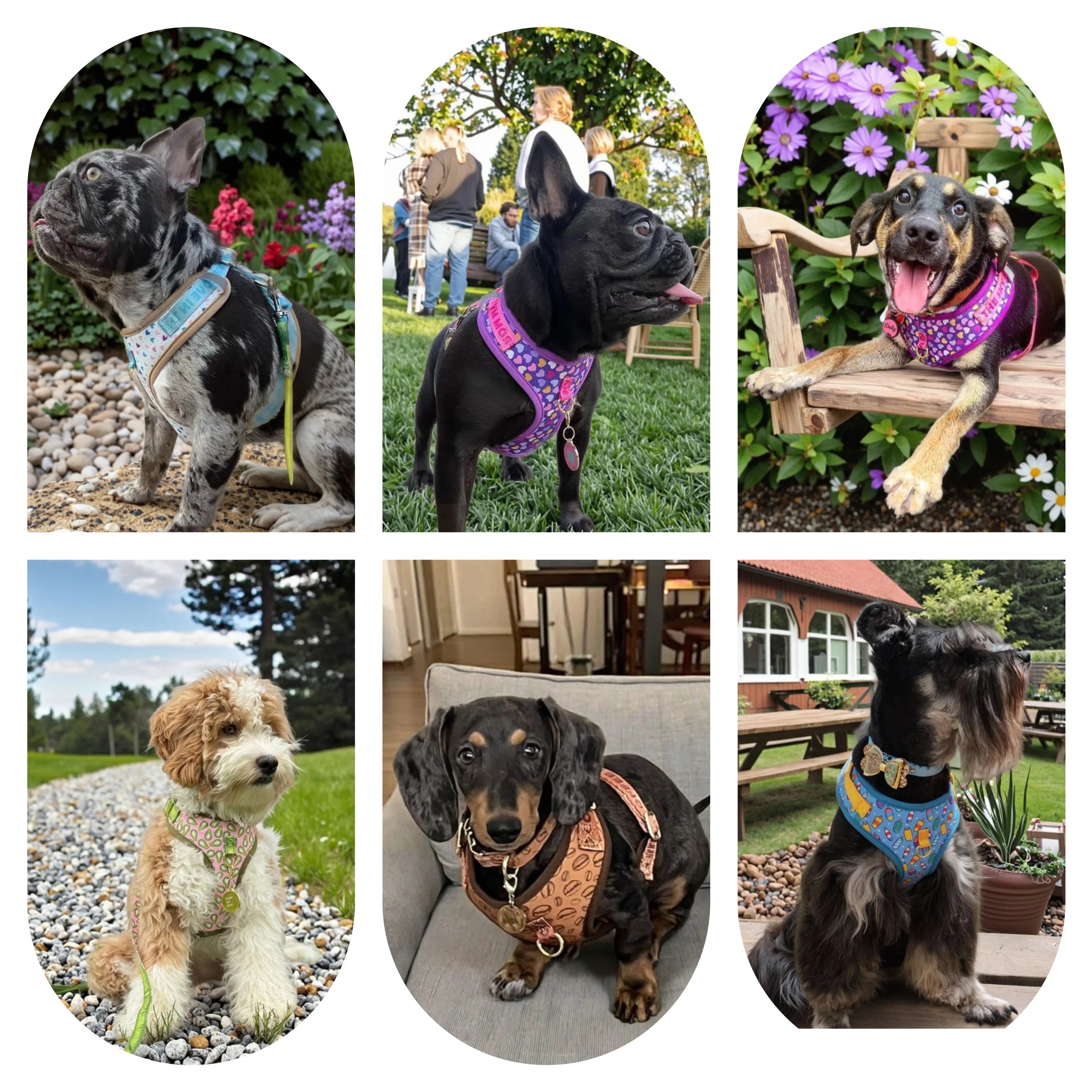 MIDEPET Valentine's Day New Year Gift Factory Wholesale Luxury Brand Hands Free Dog Collar and Leash for Small Medium Large Dogs